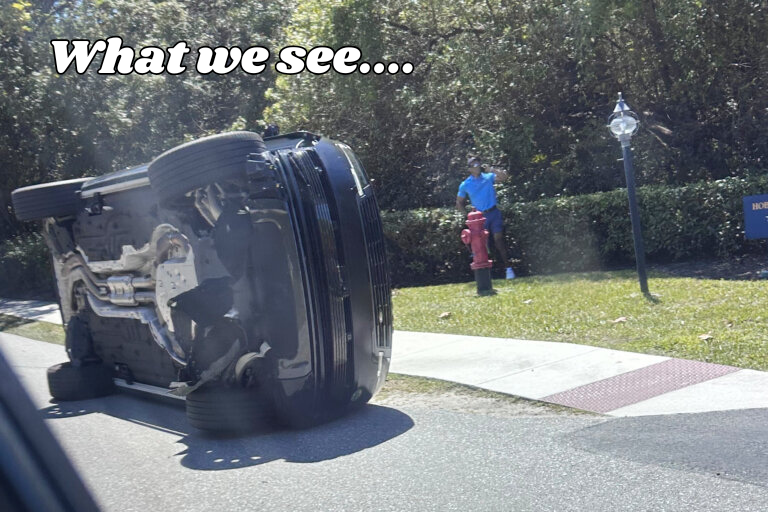 What We See